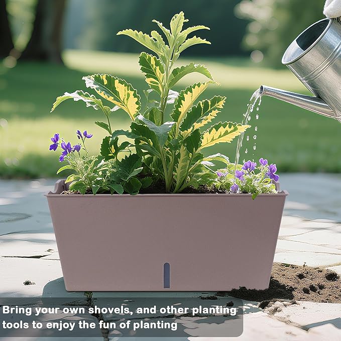 Window Box Planter 6 Pcs, 16.5 Inches Self Watering Rectangle Flower Plant Pots with Drainage Holes Trays, Vegetable Planters for Windowsill Patio Garden Balcony Porch Yard (Khaki) Oliz