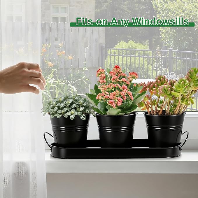 Herb Garden Planter Indoor Kit – 6 Metal Pots with 2 Trays for Windowsill & Kitchen Counter – Modern Decorative Indoor Planters for Herbs, Succulents & Small Plants, Black Wacloud