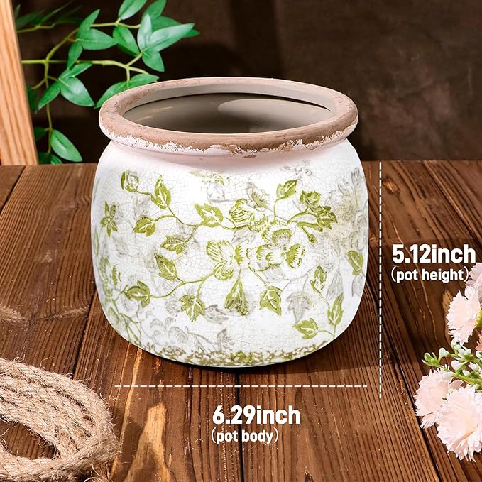 Flower Pot,Vintage Ceramic Pot for Planter with Drainage Holes, 6.29 inch Ice Crack Glazed Indoor Planters Pot for Indoor,Tucan Home Decor,Gardening Gifts (Mid-Century) Dosayes