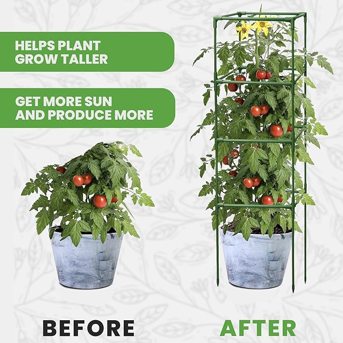 Tomato Cage Square - Large Trellis Stakes and Plant Support Structures for Vegetables and Climbing Plants - Tall Tomato Cages for Garden, Pots, Raised Garden Bed Outdoor Supplies (1 Pack - Up to 58") K-BRANDS