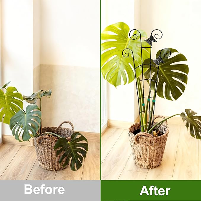 COOMIN 30'' Monstera Plant Support Outdoor, Metal Expandable Plant Supports for Indoor Plants, 2P Garden Trellis for Climbing Plants Indoor - Ivy, Pothos, Philodendron, Hoya COOMIN
