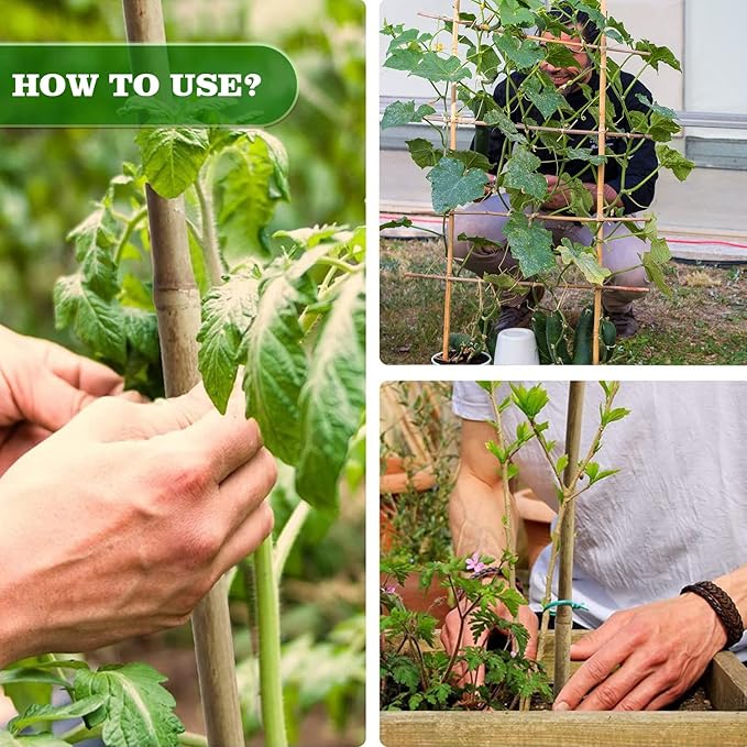 15pcs 3/4" D Thicker Heavy Duty Bamboo Stakes, 7FT Plant Stakes, Natural Garden Stakes for Tomato, Bean, Flowers,Trees Potted and Climbing Plant Support Jollybower