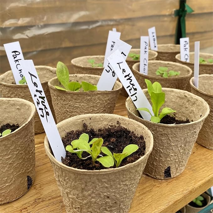 Dalzom® 60Pcs 3.1” Peat Pots with 60Pcs Plant Labels, Biodegradable Pots for Seedlings with Drainage Holes, Garden Plant Nursery Pots Seed Starting Trays Dalzom