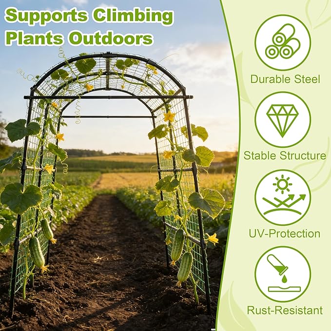 Miory Garden Arch Trellis for Climbing Plants Outdoor, Metal Plants Support Trellis for Climbing Vine Tomato Vegetable Flower Fruit, Cucumber Trellis for Raised Bed (71 x 83 Inch) Miory