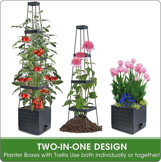 MQFORU 2 Packs Raised Garden Bed Tomato Planter with Trellis, 57" Tomato Cages for Climbing Vegetables Plant, Self Watering Planters Box for Garden Pots for Patio Greenhouse Indoor Outdoor（2PCS） MQFORU