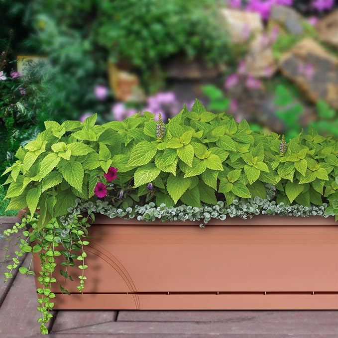 Southern Patio 36 Inch Rectangular Plastic Medallion Hanging Windowsill and Garden Box Planters with Drainage Holes, Terracotta (2 Pack) SouthernPatio