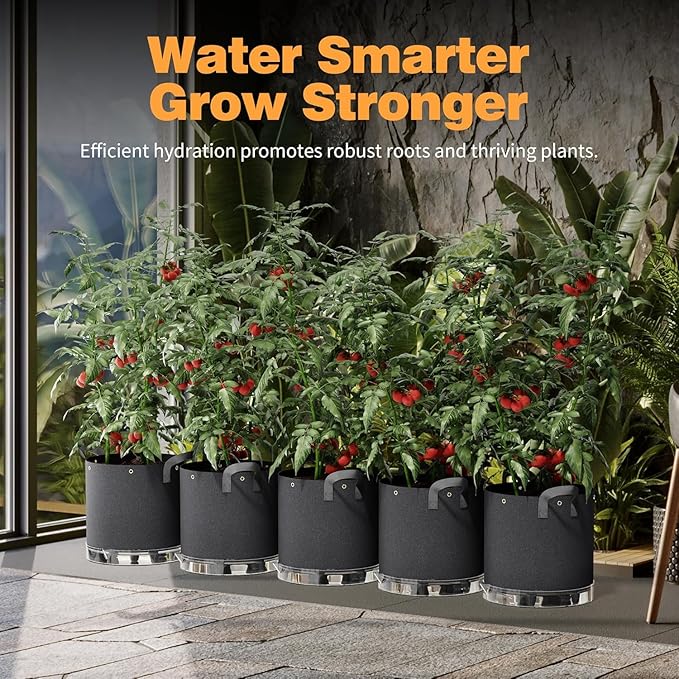 Self-Watering Grow Bags, 5-Pack 3 Gallon 420G Thick Nonwoven Fabric Pots with Reinforced Handles and Multi-Purpose Rings, for Low Stress Plant Training Fruits, Vegetables,and Flowers Patigrow