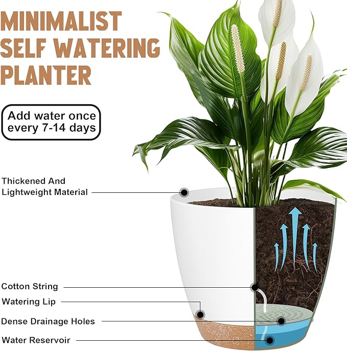 Plant Pots 8/7/6.5/6/5.5/5 Inch Self Watering Pots, Set of 6 Plastic Planters with Drainage Holes and Saucers,Plastic Flower Pots,Nursery Planting Pot for Indoor Out Door Plants（White） QRRICA