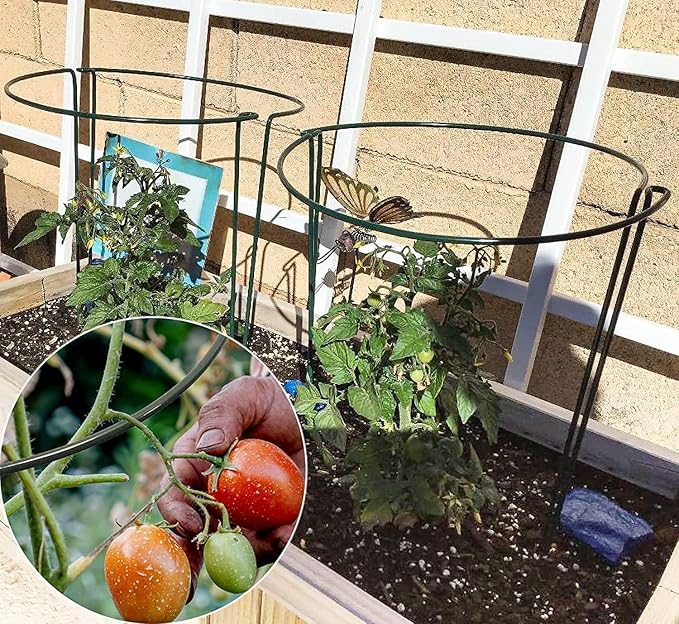 TCBWFY 10 Pack Garden Plant Support Stakes,10" Widex16 High Heavy Duty Interlinked Half Round Peony Support Ring Cage for Indoor Outdoor Plants,Plant Supports for Peony,Tomato,Hydrangea,Rose TCBWFY