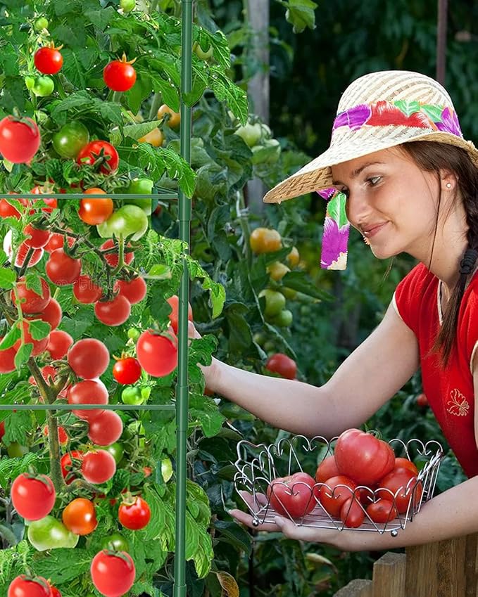 6 Pack Tomato Cages for Garden, 51in*13in Adjustable Tomatoes Plant Stakes Support Cages Trellis, Garden Trellis for Vegetable Flowers Fruits Climbing Plants- 20 Binding Wires Included MYMULIKEHOME