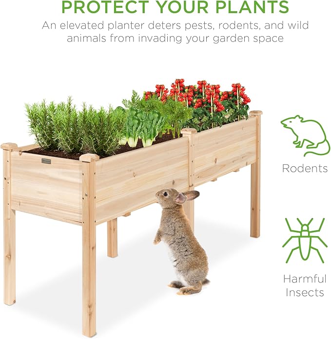 Best Choice Products 72x24x30in Raised Garden Bed, Elevated Wood Planter Box Stand for Backyard, Patio, Balcony w/Divider Panel, 6 Legs, 300lb Capacity - Natural BestChoiceProducts