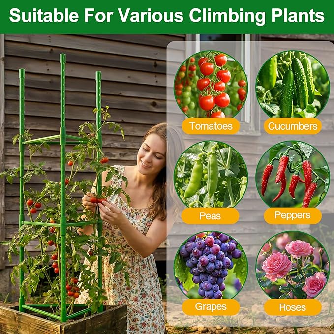 WAENLIR 3-Pack Tomato Cage for Garden, Up to 51 Inch Tomato Trellis for Raised Garden Bed, Plant Stakes for Pots, Durable Tomato Plant Support Garden Stakes for Climbing Plants (Green, 51 inch 3 Pack) WAENLIR