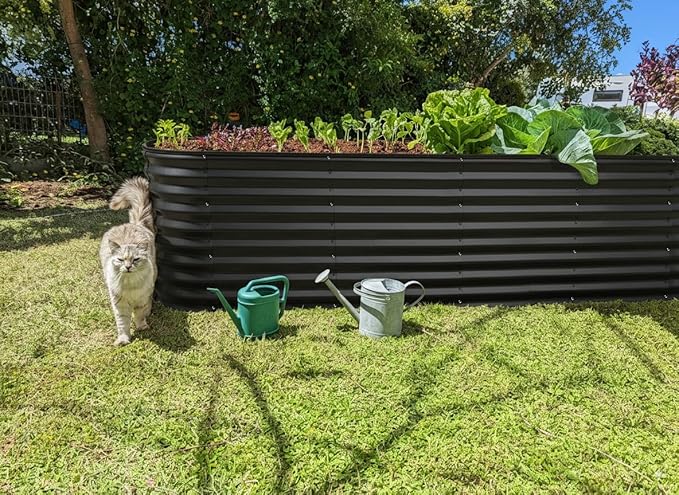 Plant & Plot Galvanized Raised Garden Beds Outdoor // 8×2×2 ft Planter Raised Beds for Gardening, Vegetables, Flowers // Large Metal Garden Box (Black) // Patented Tool-Free Design PlantPlot