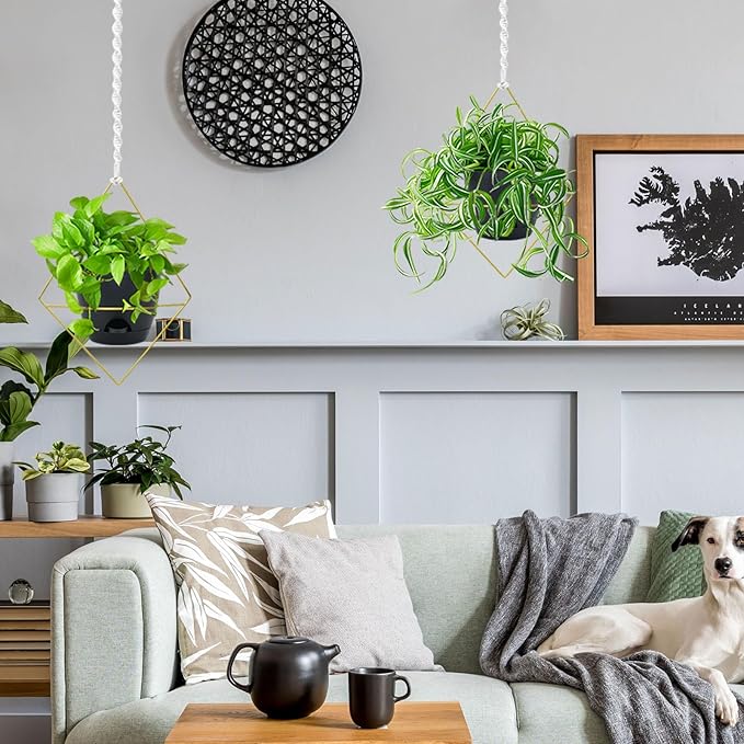 Hanging Planters for Indoor Plants, 2 Set Self Watering Hanging Flower Pots, Modern Hanging Plant Baskets with Metal Plant Holder & 6.5 Inch Plastic Pots for Garden Home Decor (Gold Frame Black Pot) Koalaime