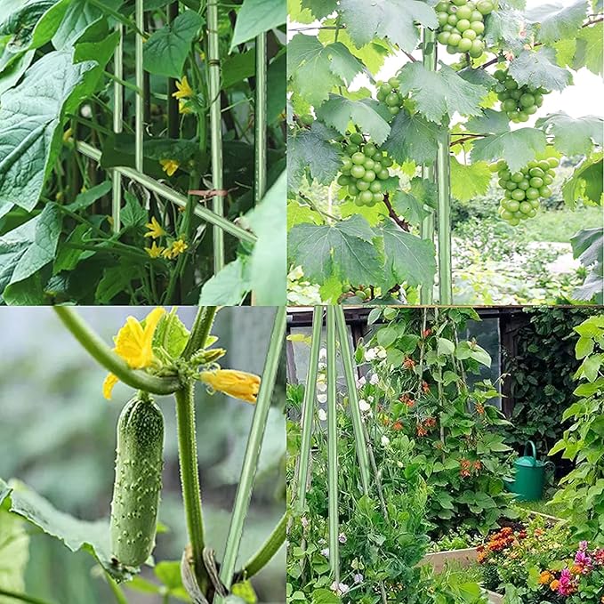7Feet Garden Stakes Sturdy Plant Sticks Support Tomato Stakes for Vegetable Pack of 20 Jxrhy
