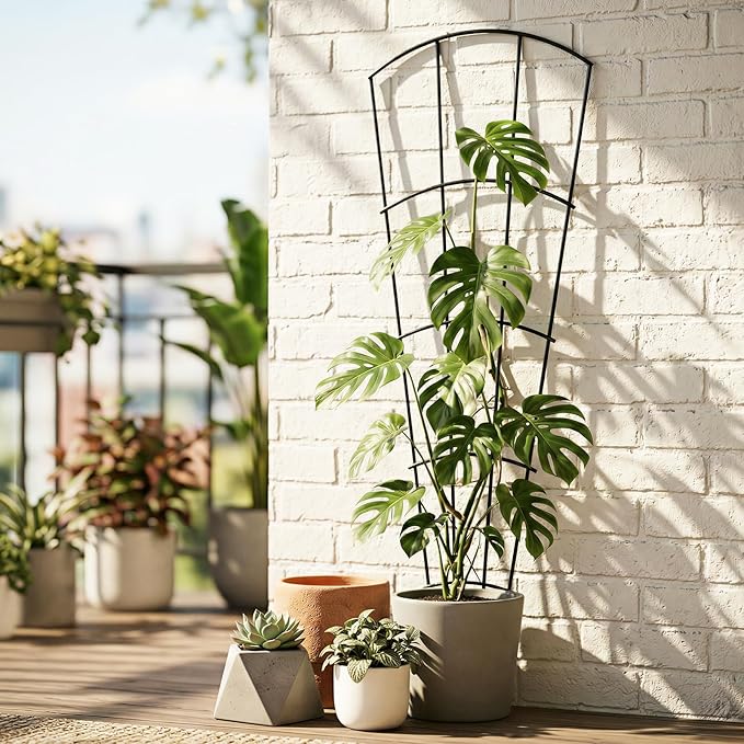 4 Pack 56'' Indoor Plant Trellis for Potted Plants Climbing Outdoor Metal Garden Trellis Houseplants Flowers Vine Ivy,Fan Shape, Black ThealynGardens