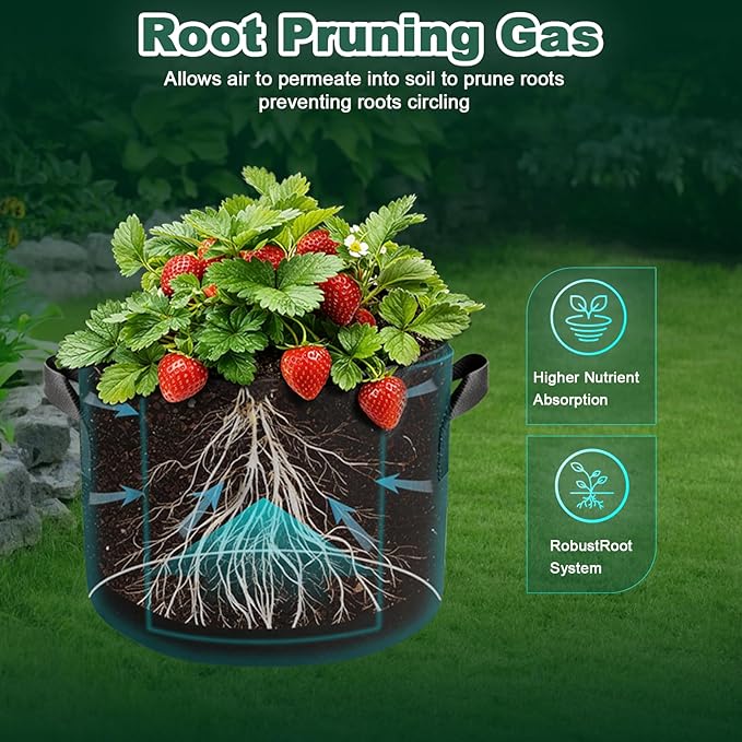 5 Pack 5 Gallon Grow Bags, Thickened Aeration Nonwoven Fabric Plant Pots with Handles, Heavy Duty 300G Garden Planting Bag for Tomato, Potato, Strawberry, Vegetable, Fruits and Flowers Rootora