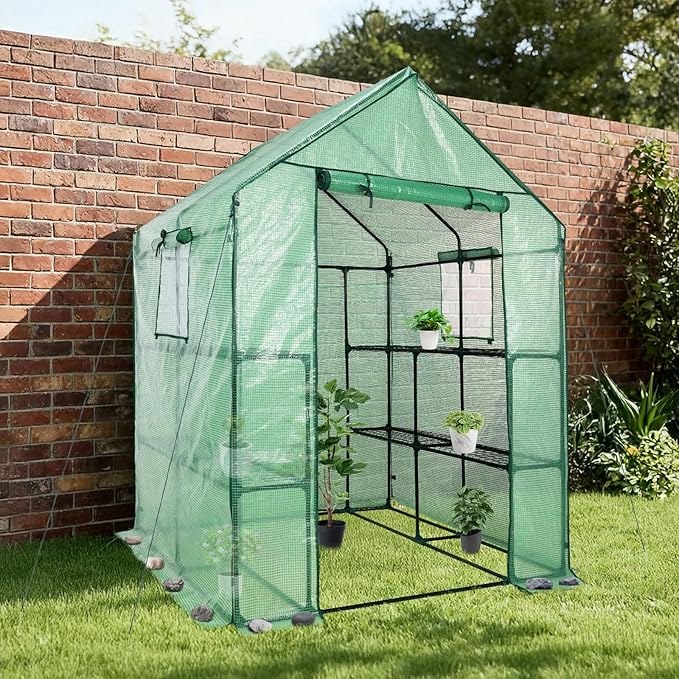 Aoodor Walk-in Greenhouse with 8 Shelves, 4.7 × 4.7 × 6.4 ft Outdoor Garden Plant House with PE Cover for Growing Vegetables, Flowers, Herbs Aoodor