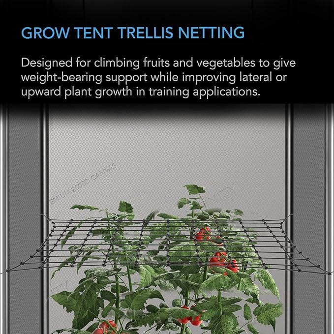 AC Infinity Grow Tent Trellis Netting 2x2', Heavy-Duty Elastic Plant Net with Steel Hooks, Flexible Hydroponics Support for Grow Tents, Gardening, and Horticulture ACInfinity