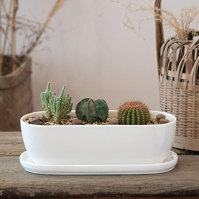 E-liu Oval Ceramic Planter Pot with Drainage Hole Saucers 11 Inch Succulents Planter Home Decor for Indoor Outdoor Plants Herb Cactus with 3 Mesh Pads, Plants Not Included Creatingwarmandrefinedlifestylekitchenandhomeessentials