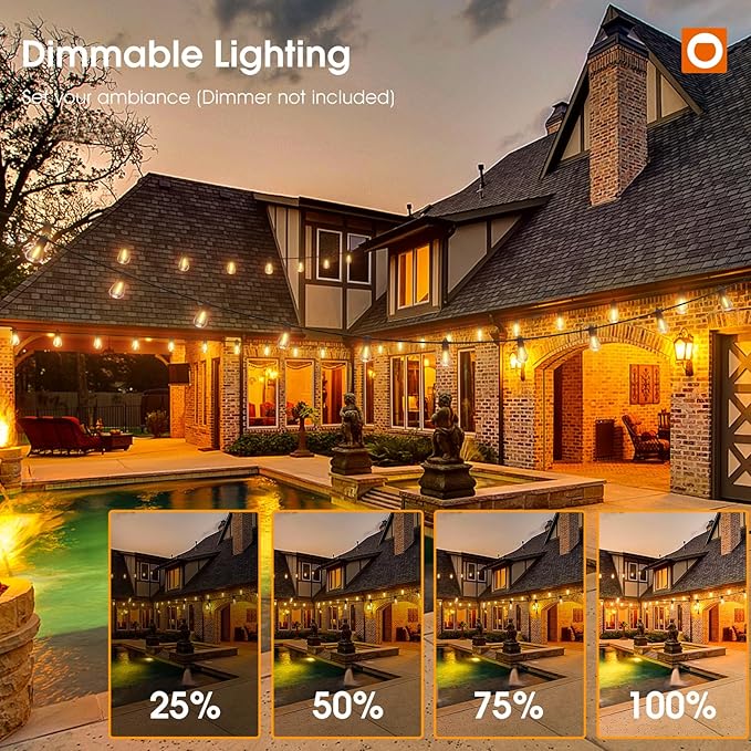 addlon 48FT(2FT Space) LED Outdoor String Lights with 24 Edison Shatterproof Bulbs, Heavy-Duty and Weatherproof Strand, Commercial Grade Patio Lights, Decorative for Garden or Patio, Black addlon