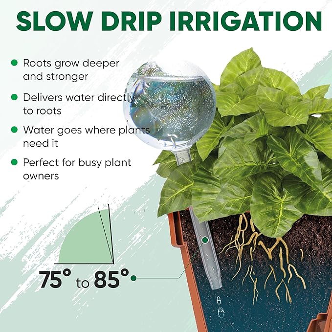 Clear Plant Watering Globes Set of 6 - Large Self Watering Globes for Indoor & Outdoor Plants - Automatic, Glass Watering Bulbs for Daily Use, Plant Watering Devices MissionGallery
