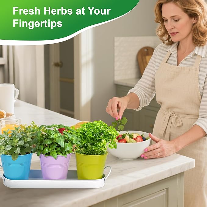 Herb Garden Planter Indoor Kit – 6 Metal Pots with 2 Trays for Windowsill & Kitchen Counter – Modern Decorative Indoor Planters for Herbs, Succulents & Small Plants Wacloud