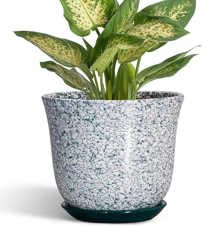5.6 Inch Plant Pot - Ceramic Plant Pots for Indoor Outdoor, Round Orchid Succulent Pots with Drainage Hole and Saucer, Modern Flower Pot, Home Office Decor, Green-White SUNPOTFOR