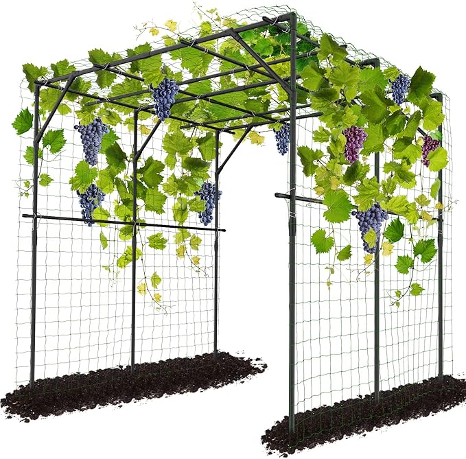 DoCred Tall Garden Arch Trellis for Climbing Plants, 79 Inch Tall Metal Plant Support Trellis Archway for Climbing Vine Vegetable/Fruit/Flower Outdoor Yard Lawn Garden Arch Tunnel Trellis DoCred