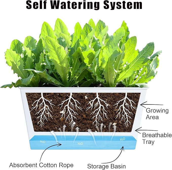Window Box Planter 6 Pcs, 12.1 Inches Self Watering Plant Pots Rectangle Flower Pots with Drainage Holes and Breathable Trays, Vegetable Planters for Windowsill Patio Garden Balcony Porch Yard (White) Oliz