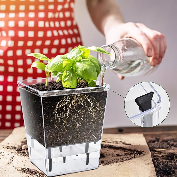 Self Watering Pots Set, 3 Pack 5 Inch for Indoor Plants, Clear Nursery Planter With Deep Reservoir for Spider Plant, Orchid, African Violet IWNTWY
