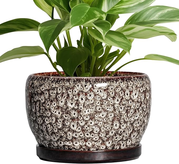 SQOWL Ceramic Planter - 8 inch Plant Pot Indoor with Drainage Hole and Plant Saucer, Round Ceramic Flower Pots Outdoor, Decorative Modern Planter, Office Kitchen Decor, Gifts for Women Men, White SQOWL