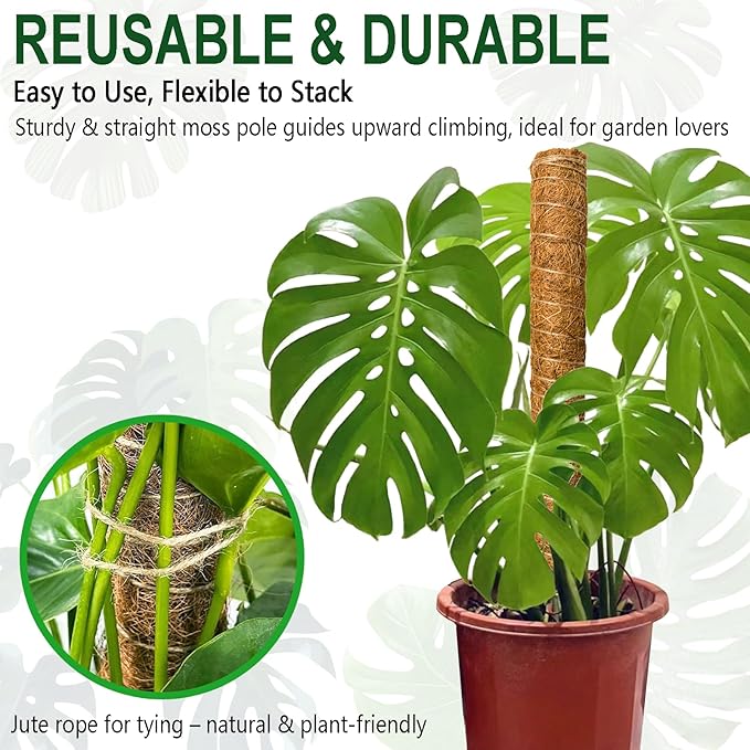 Soupiar 2 Pack 22 Inch Stackable Moss Pole - Thick & Sturdy Natural Coir Totem Plant Support & Garden Stakes for Monstera & Pothos, Indoor Climbing Vining Houseplants, 38”H Max Soupiar