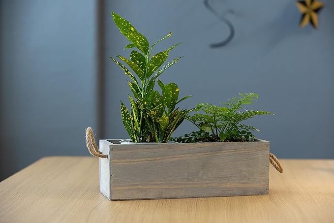 Wooden Planter Box with Handle I Rustic Barn Wood, Plastic Liner l Garden Decor l Restaurant and Wedding Decorations l Wedding Table Centerpiece (12x4 w Handle Set of 4, Natural) Rootora