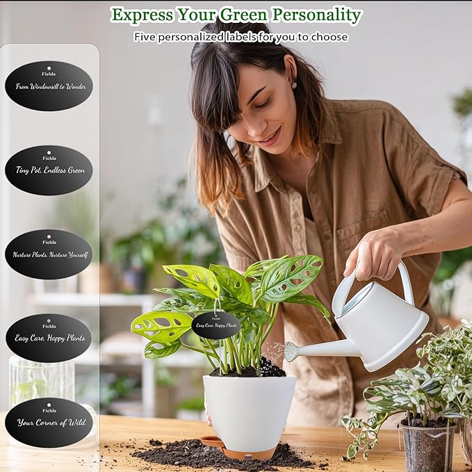 6 Inch Self Watering Pots for Indoor Plants (5-Pack) – Small Plastic Planters with Water Window, Drainage Holes & Trays, Indoor Outdoor Flower Pots for Herbs, Succulents, Home Garden Decor (White) Fielda