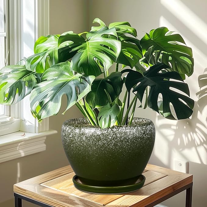 10 Inch Planter Pot - Ceramic Pots for Plants with Drainage Hole and Saucer, Round Large Flower Pot for Indoor Plants, Dark Green Ceramicfor