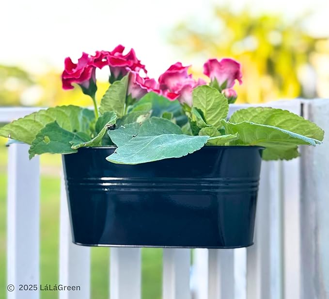 LaLaGreen Outdoor Rail Planter (11.8 Inch, 6 Pack) Black Metal Iron Hanging Flower Pots Deck Railings Fence Buckets Outside Countryside Boho Style Wall Mount Window Box Plant Holder Hook Porch Decor L%C3%A1L%C3%A1Green