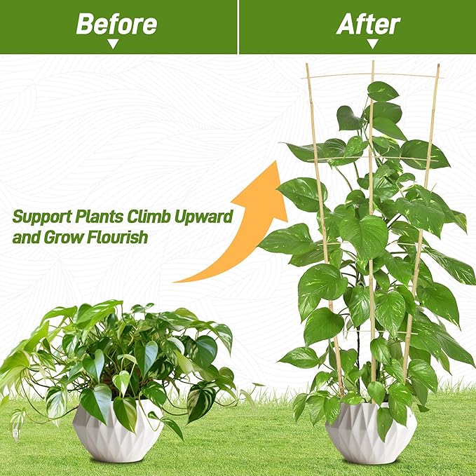 Avalution 10 Pack Bamboo Trellis for Climbing Plants, 4 FT Garden Ladder Trellis for Potted Plants Indoor, Fan-Shaped Small Plant Support Trellis for Houseplants Ivy Hoya Vine Monstera Avalution
