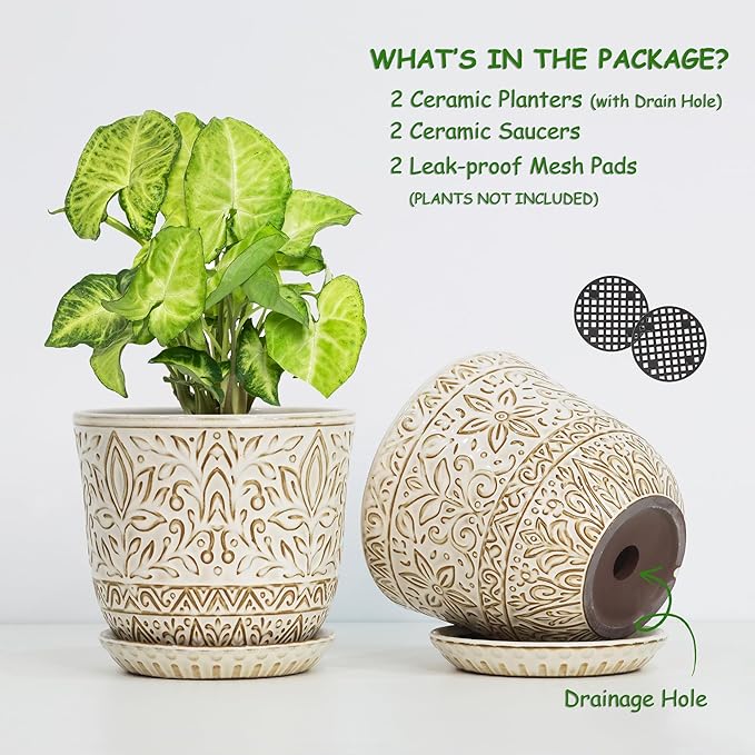 Gepege 6 Inch White Ceramic Planter, Plant Pot with Drainage Holes and Saucers for Indoor Plants, Birthday for Women Mom Gepege