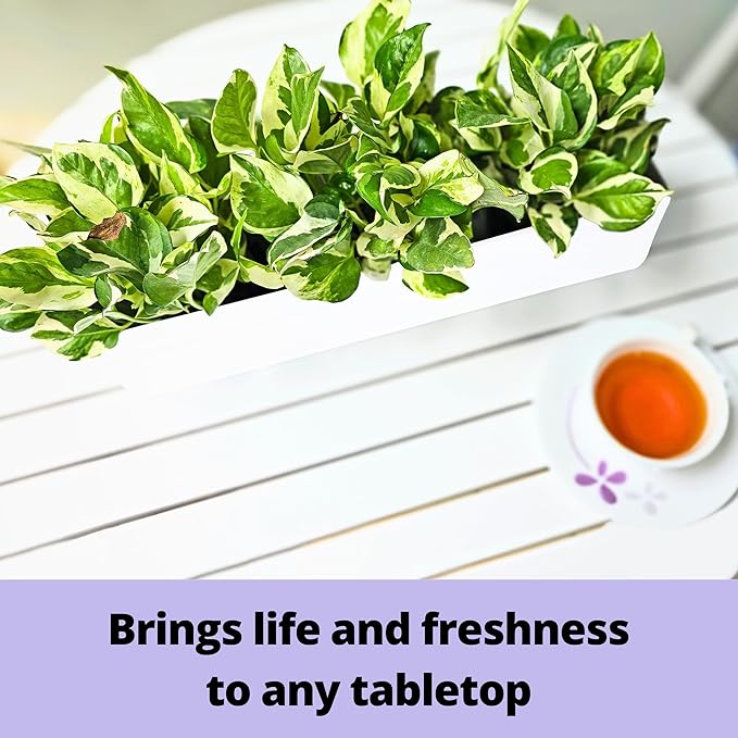 LaLaGreen Wall Planter (16 Inch, 2 Pack) Carbon Steel White Metal Hanging Flower Pot for Succulents, Wall Mount Rectangular Window Sill Box Fence Floating Garden Shelf for Deck Indoor Outdoor Decor L%C3%A1L%C3%A1Green