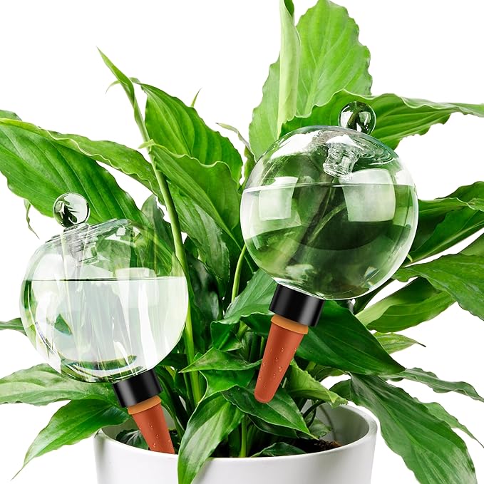 19 oz Extra Large Plant Self Watering Globes Top Fill, Plastic Water Bulbs, Slow Release Terracotta Self Watering Planter Insert, Plant Watering Devices System, Water Spikes Stakes, 2 Pack SoilaguaDirect