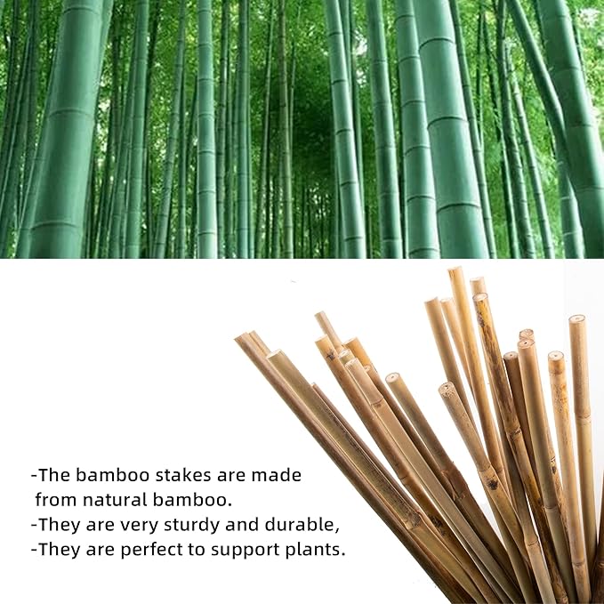 Avalution 10 Pack Natural Bamboo Trellis for Climbing Plants 16" Outdoor Garden Ladder Trellis, Fan -Shaped Plant Support Trellis for Potted Plant Avalution