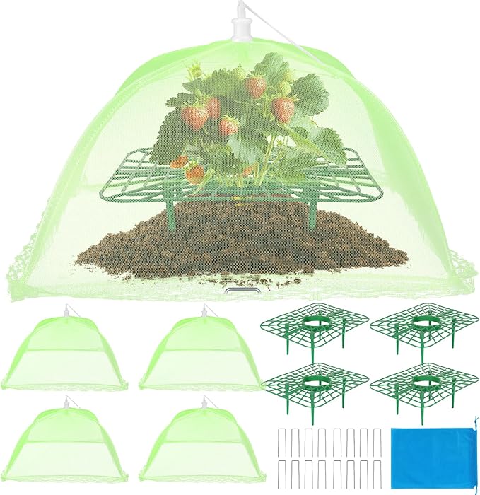 6 Sets Strawberry Plant Support with Mesh Plant Cover,Strawberry Growing Racks Sets with Iron Plant Nails and Storage Bag for Garden Strawberry Vegetables(Green Net - Square) Rootora