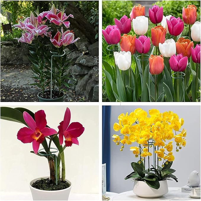 Joyhalo 20 Pack Plant Support Stakes 36 Inches, Plant Stakes, Flower Stakes with 24 Twist Ties, Garden Sticks for Plants Hibiscus, Sunflower, Red Hot Poker, Hydrangea, Tomato, Sapling Etc Joyhalo