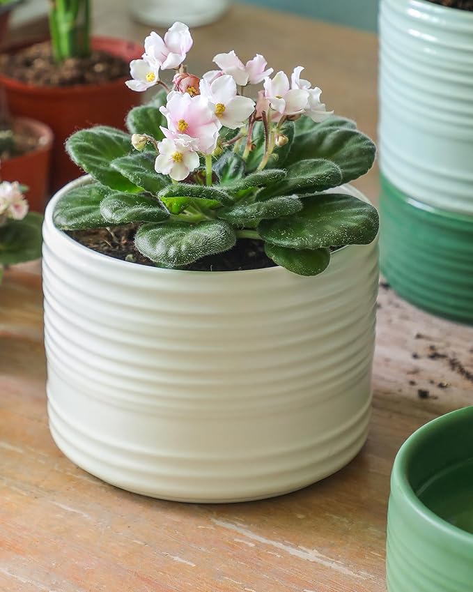 Self Watering Pots for Indoor Plants, 6 Inch Ceramic Self Watering Plant Pot, Planter Pot with Wick Rope and Drainage Hole for African Violet Succulent Herbs (White Matte) FayoulasGarden