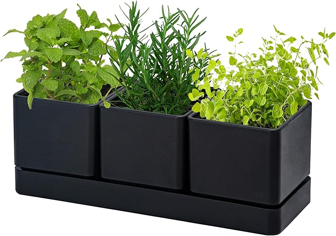 D'vine Dev Herb Garden Planter Set, Plastic Plant Pots with Drainage and Saucer, Indoor Succulent Cactus Vegetable Pot for Windowsill, Garden Balcony, Black, Set of 1, 76-V-B-1 DvineDevPlanterPotsandStand