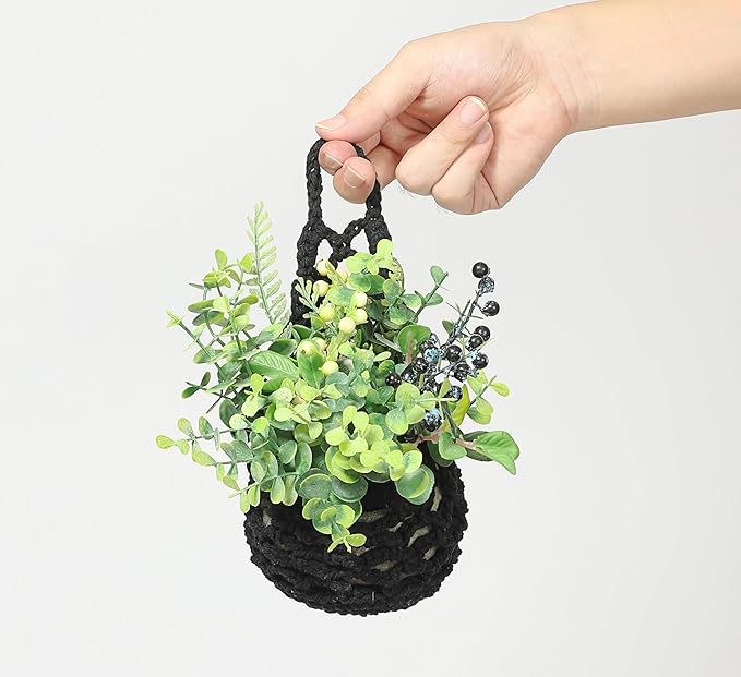 3 Packs Hanging Planters for Indoor Plants up to 4 in., Wall Plant Holder | Plant Hanger Indoor, Wall Planters for Indoor Plants, Hanging Plant (3PK, for 4 inch Pot) Shineloha