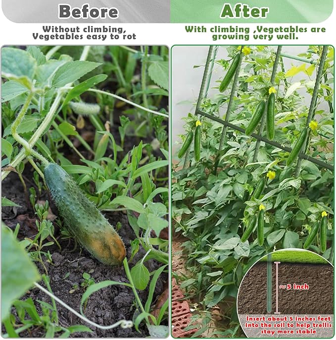 Cucumber Trellis for Raised Bed, Large Size Garden Arch Trellis for Climbing Plants Outdoor, Metal Garden Trellis for Spring Vegetables, Cucumber Trelli for Tomato, Bean, Pea, Grape, Plant tetutor