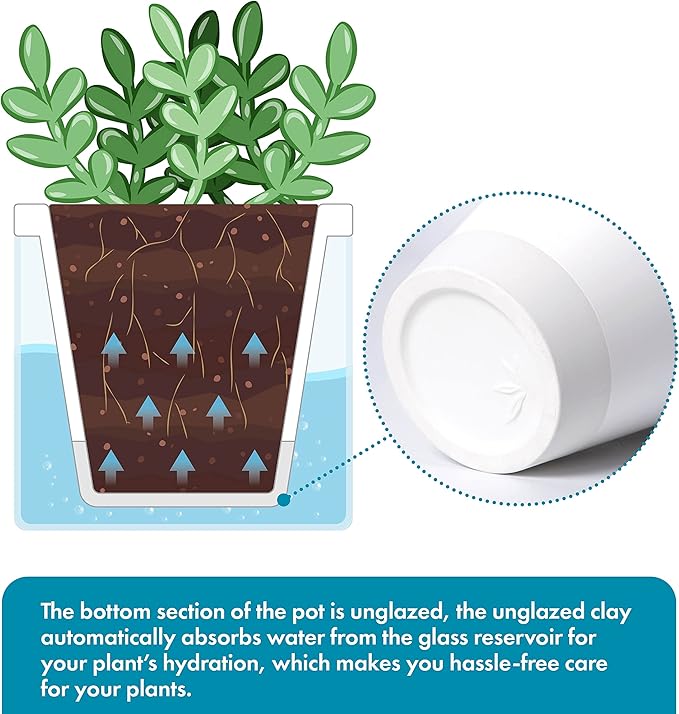 D'vine Dev 4 Inch Design Self Watering Planter for Indoor Plants, White Terracotta Pots with Cylinder Glass Cup, 37-X-A-2 DvineDevPlanterPotsandStand