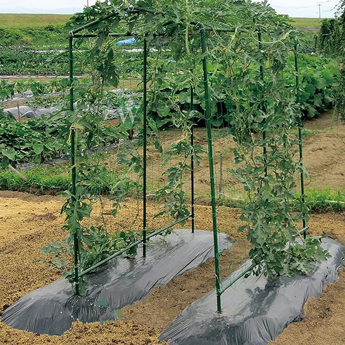 Xiny Tool Garden Stakes, 25 Pack Steel Plant Garden Tomato Stakes with Plastic Coat for Climbing Plants (25 Pack 58 Inch) XinyTool